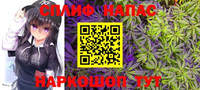 ешки Котовск