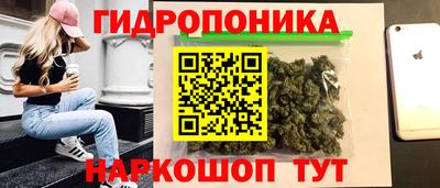 крисы Красноармейск