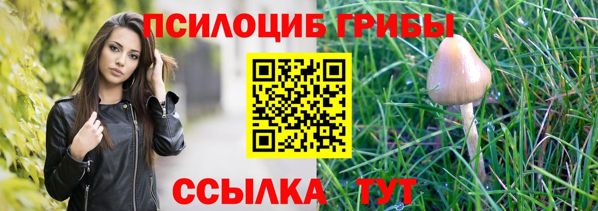 Галлюциногенные грибы Psilocybine cubensis Богородицк