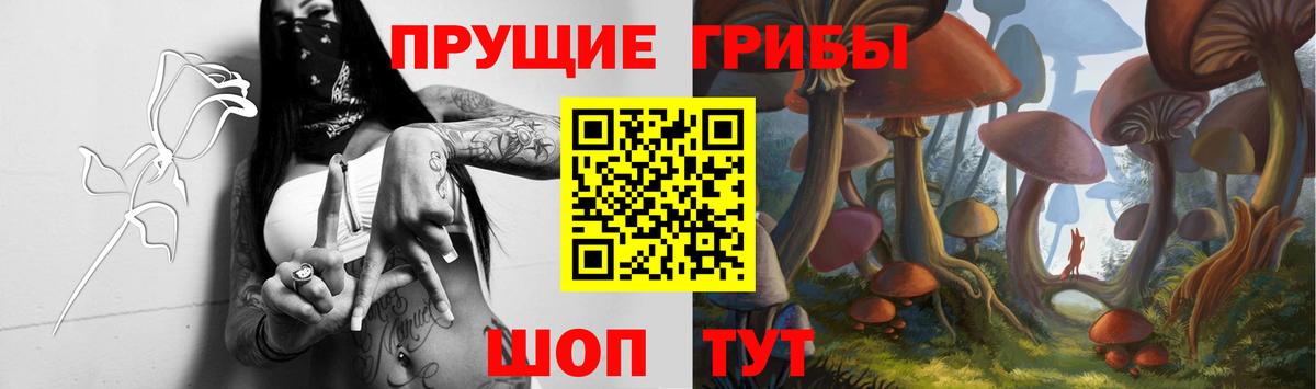 Богородицк  Галлюциногенные грибы прущие грибы  Вход с VPN 